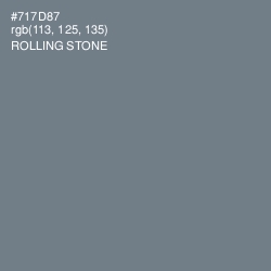 #717D87 - Rolling Stone Color Image